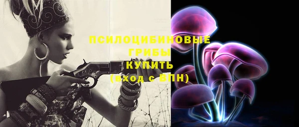спиды Абаза