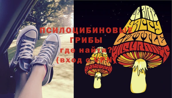 хмурый Абинск