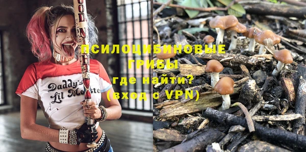 спиды Абаза