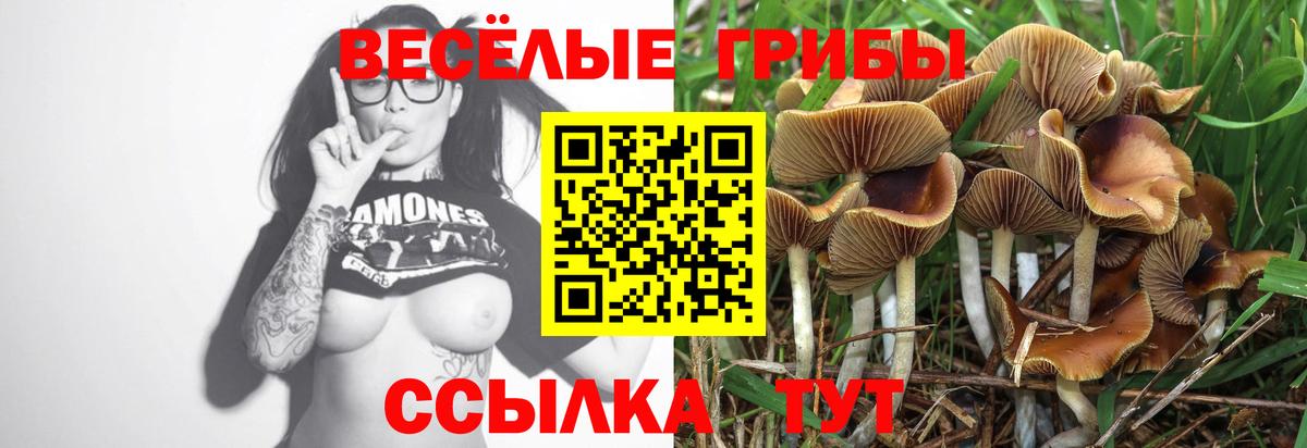 купить наркоту  Псилоцибиновые грибы мухоморы  Вход с VPN  Симферополь 